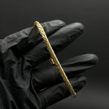 Pulso Cola de Dragón