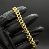 Pulso Barbado Cubano